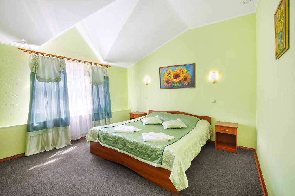 Double Junior Suite (full double bed)