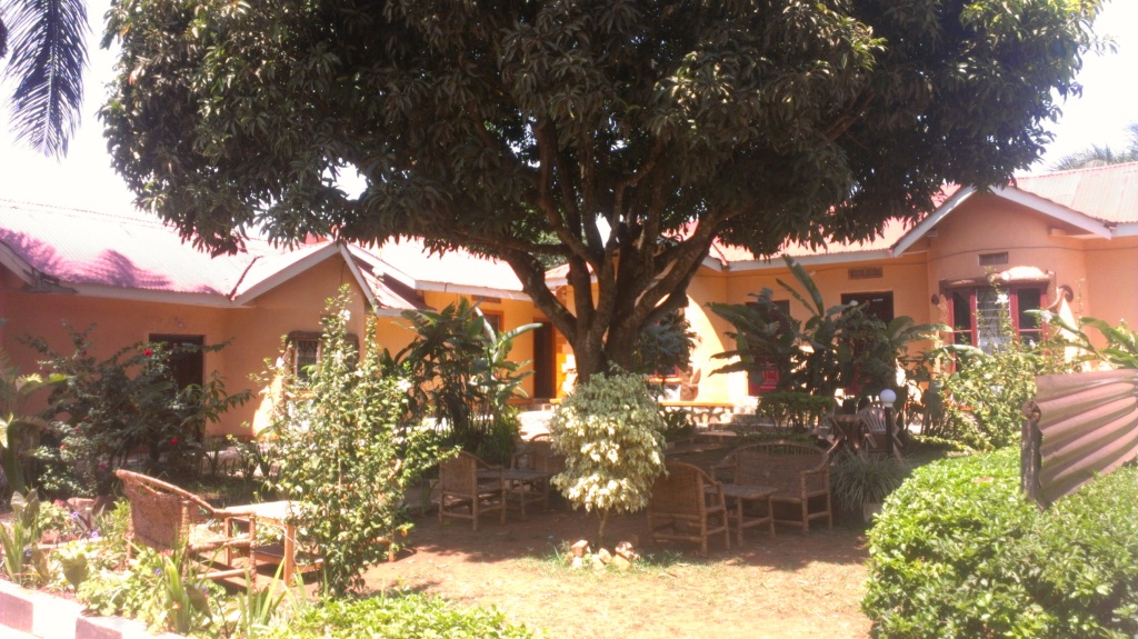 Image 2