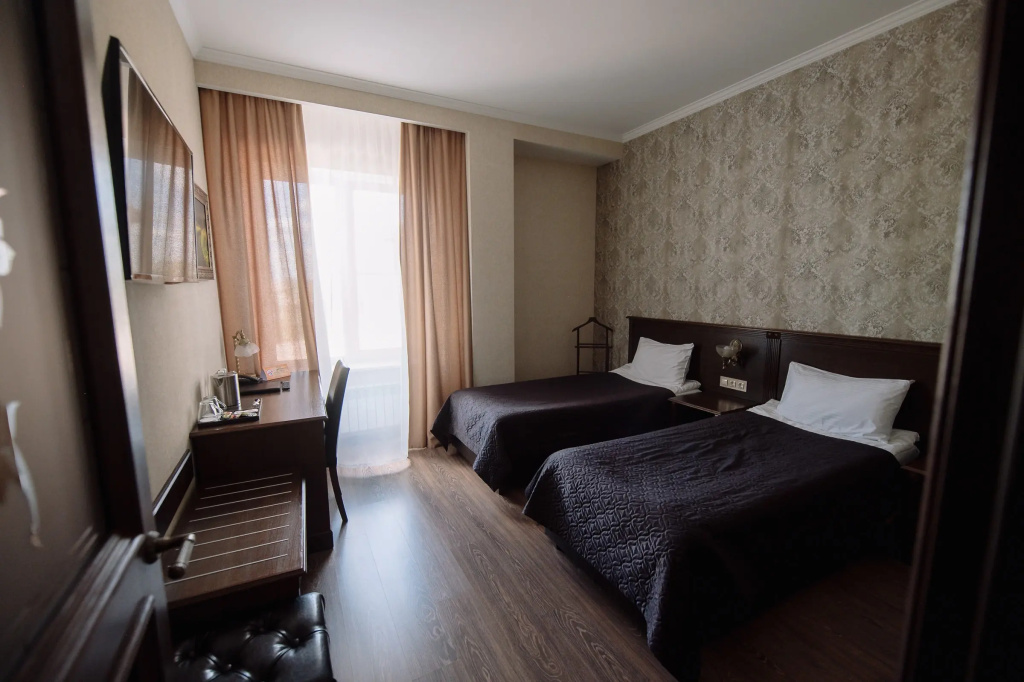 Standard Double room with city view (twin beds)