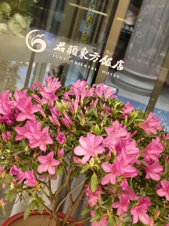 Juny Oriental Hotel - Général