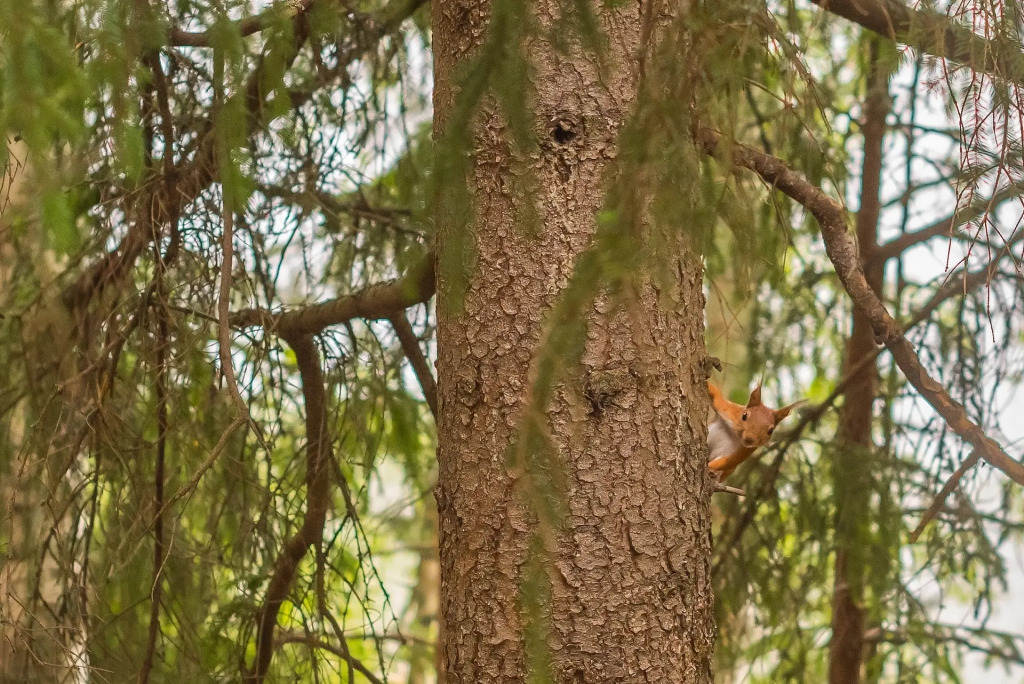 База Отдыха Янисъярви - фото 10