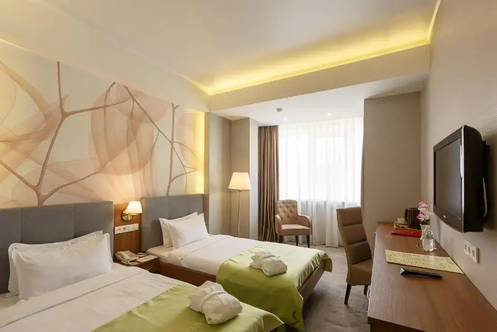 Standard Double room (twin beds)