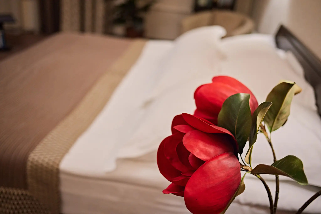 Graf Tolstoy Hotel Room Type - Double Apartment with balcony and with city view full double bed