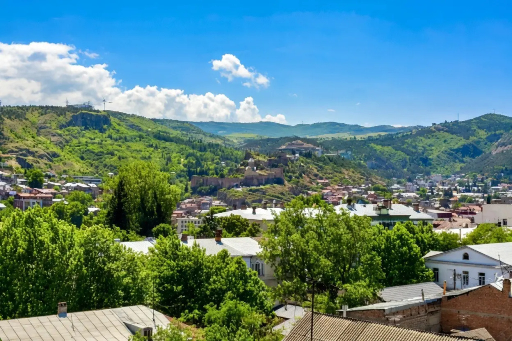 Amazing View in Tbilisi Apartments
