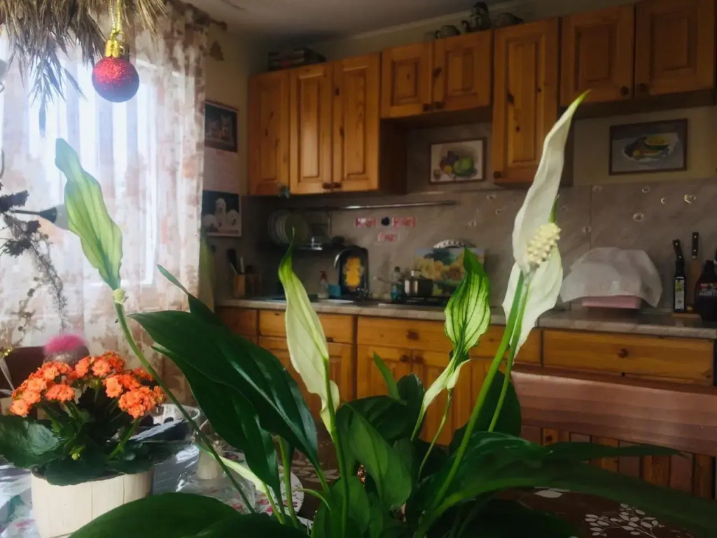 Шестиместный коттедж в Карелия