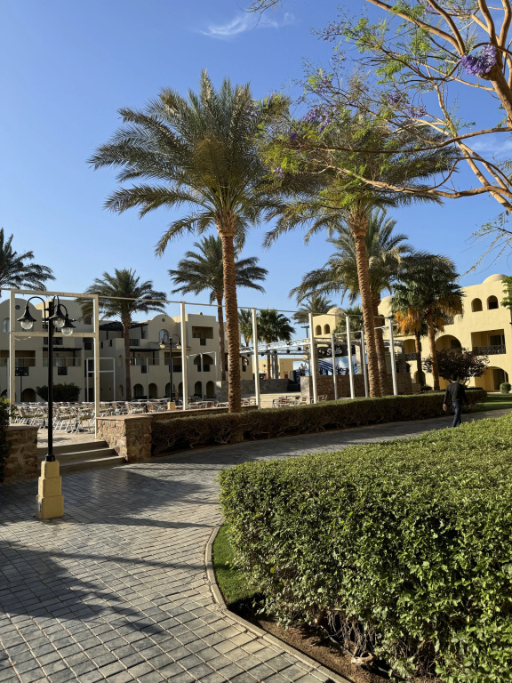 Stella Gardens Resort & Spa Makadi Bay, Макаді-Бей, Єгипет мініатюра 22