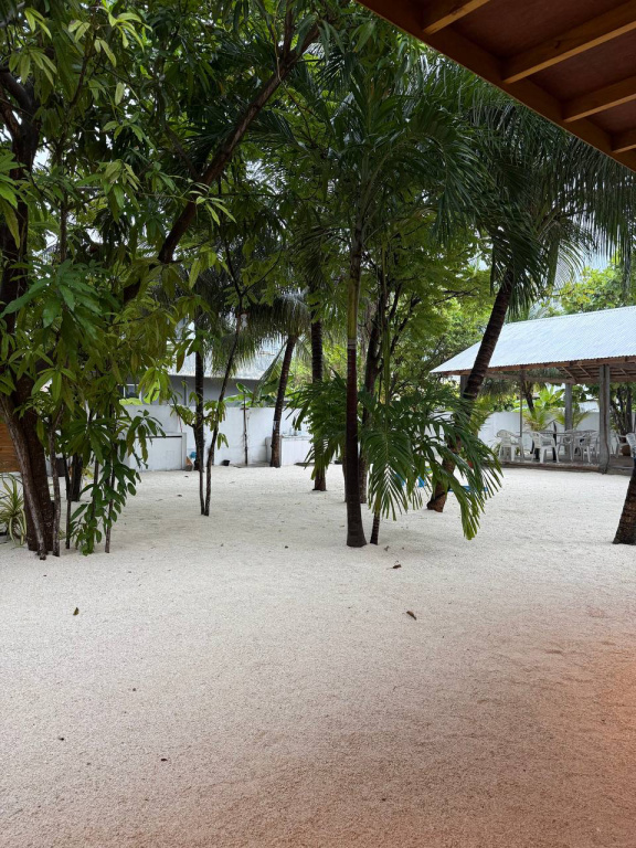 Гостевой дом Navaya Dhiffushi — фото