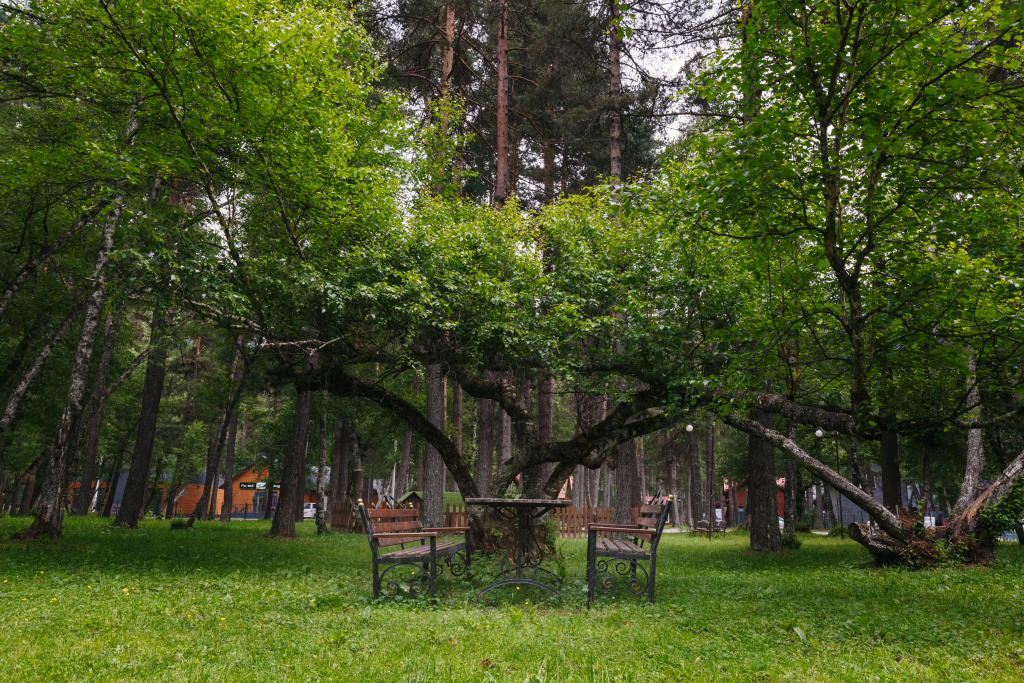 Отель Конак Хаус — фото 7