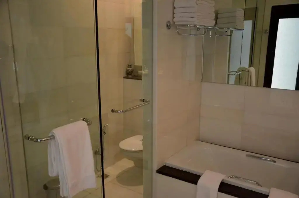 Dushanbe Serena Hotel - Chambres