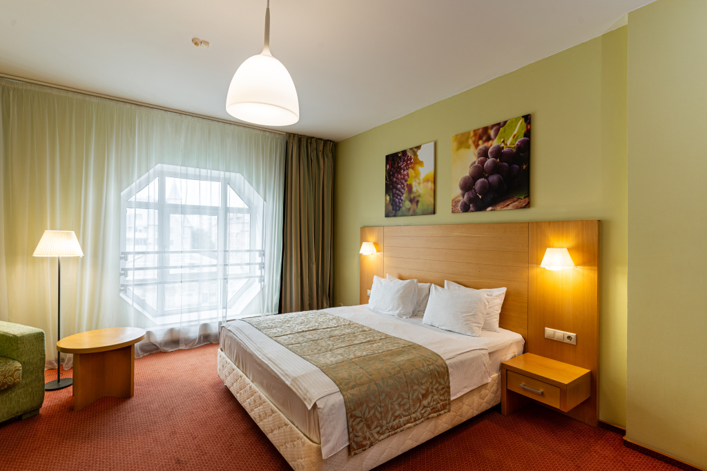 Biznes Hotel Evraziya Room Type - Comfort Double room full double bed