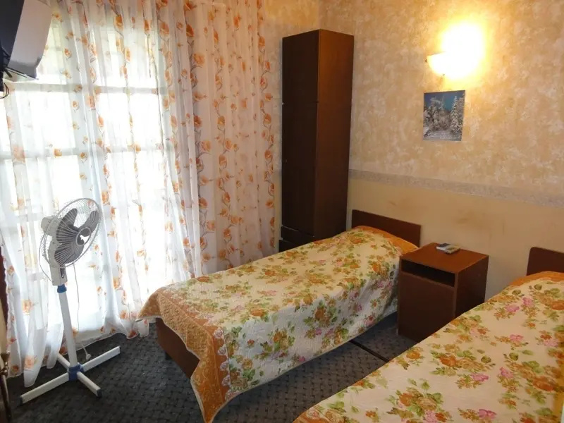 Standard Double room (full double bed)