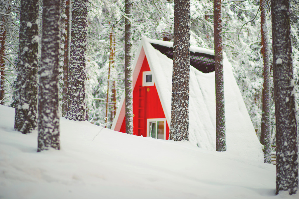 Коттедж Standard в Greenvald парк Скандинавия