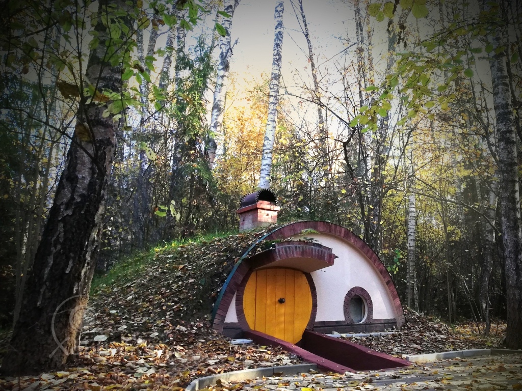 Эко отель в лесу