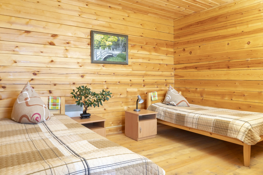 Economy Double room with view (twin beds)