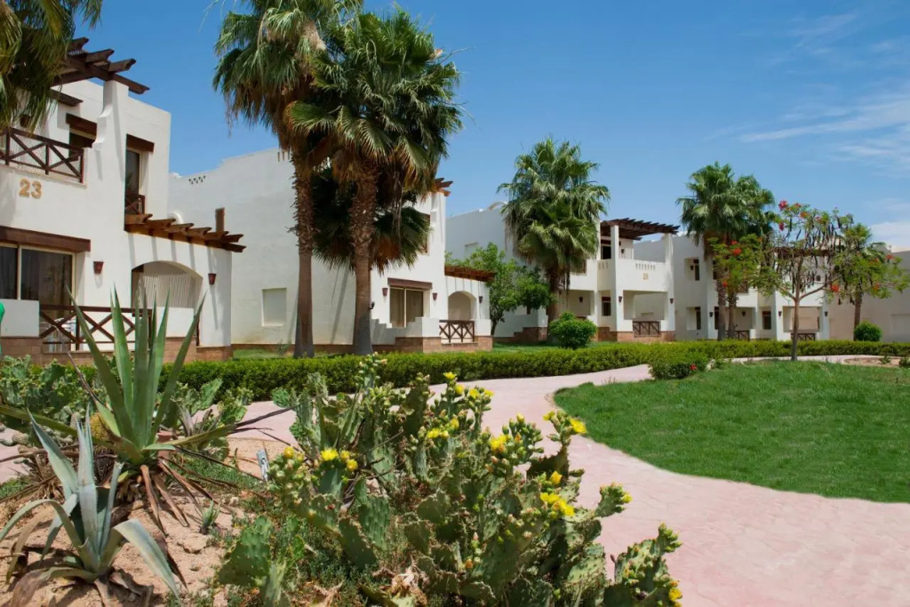 Amphoras Aqua Hotel, Хадаба, Єгипет мініатюра 40