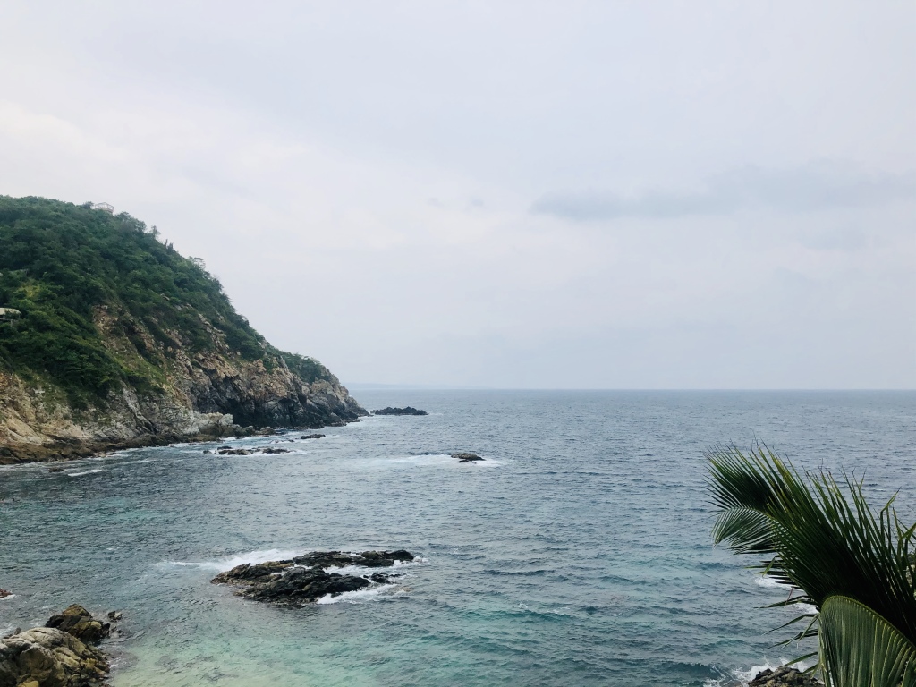 Image 15