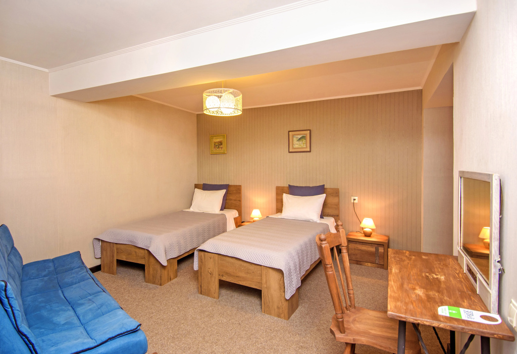 Standard Double room (twin beds)