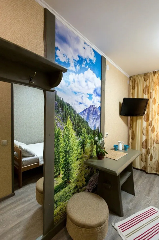 Standard Double room (full double bed)