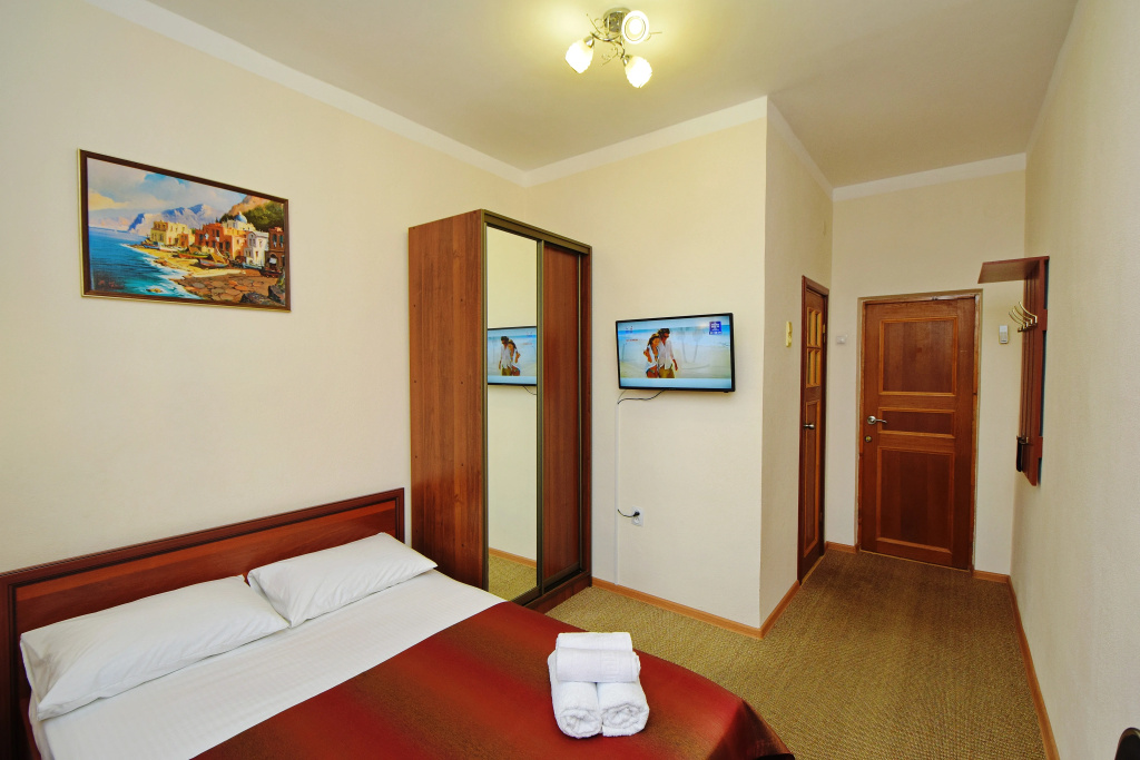 Standard Double room (full double bed)