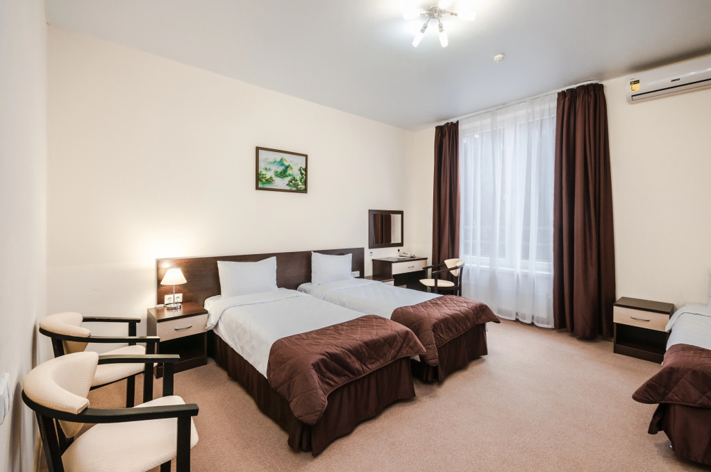 Standard Double room (twin beds)