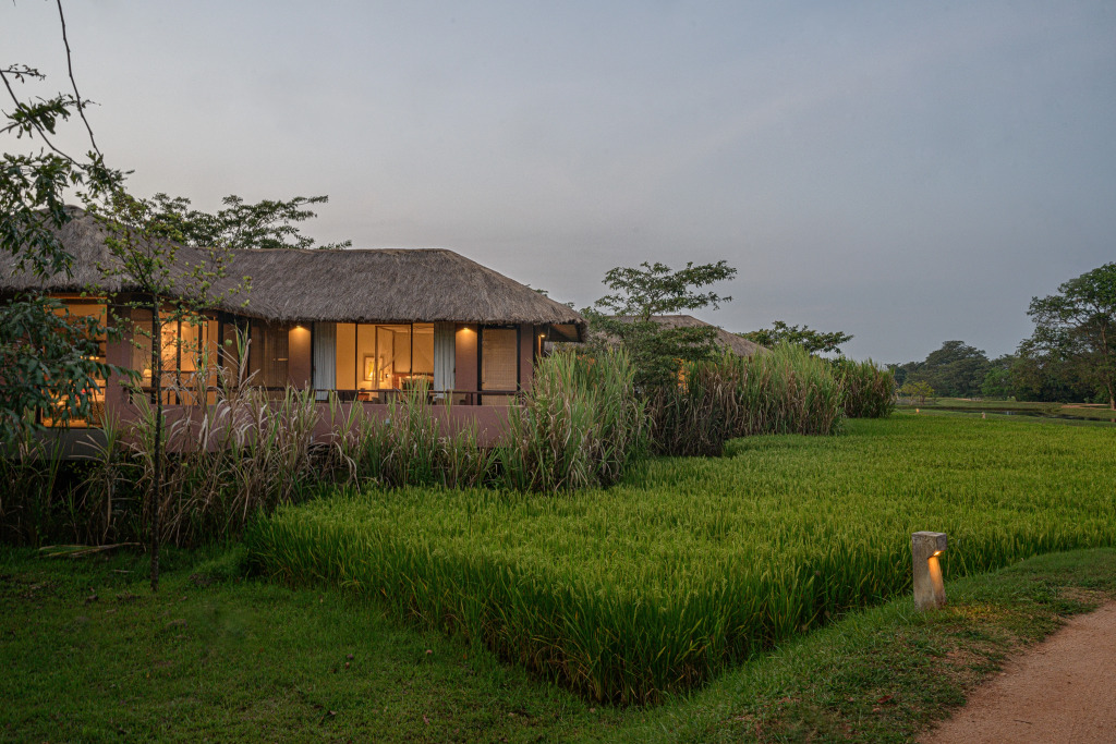 Отель Water Garden Sigiriya - фото 14