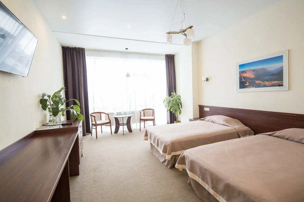 Standard Double room (twin beds)
