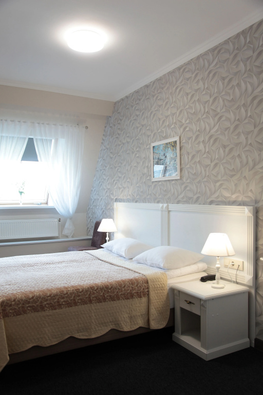 Tsentr Hotel Room Type - Comfort Double room twin beds