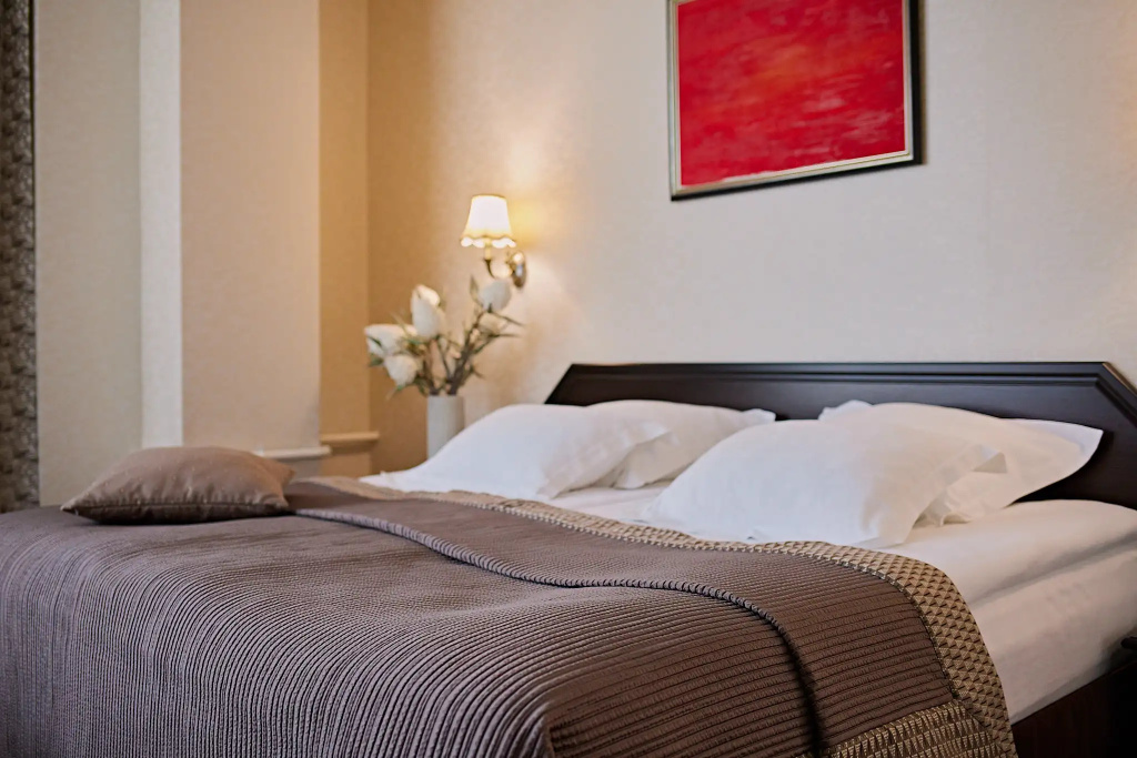Graf Tolstoy Hotel Room Type - Deluxe Double room with city view twin beds