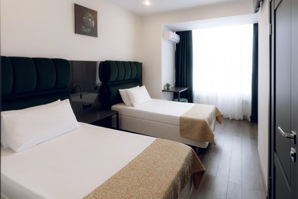 Standard Double room with city view (twin beds)
