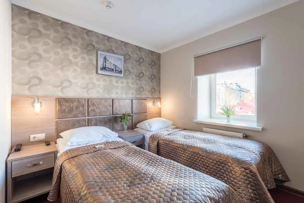 Tsentr Hotel Room Type - Standard Double room full double bed