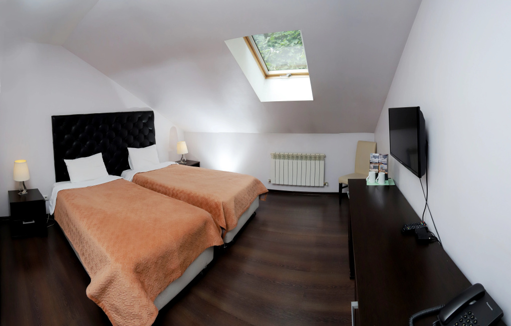 Standard Double Attic room (twin beds)