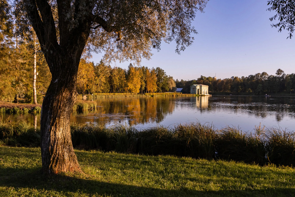 Golden Hotel - фото 10