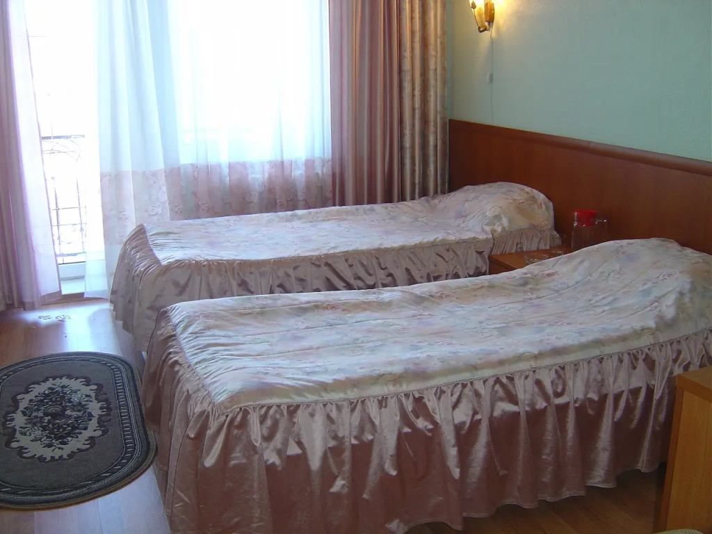 Standard Double room (twin beds)