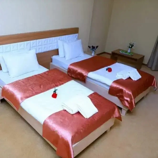 Gabala Tufandag City Hotel - Chambres