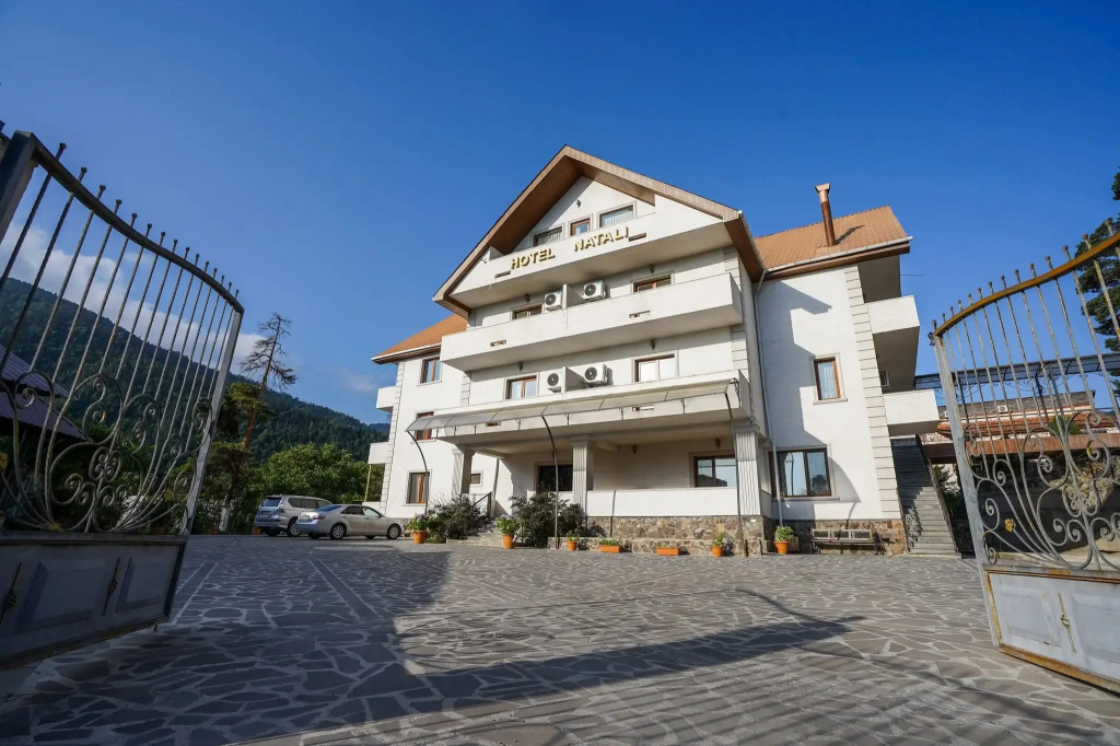 Natali Hotel - Général