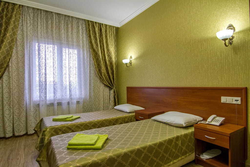 Standard Double room (twin beds)