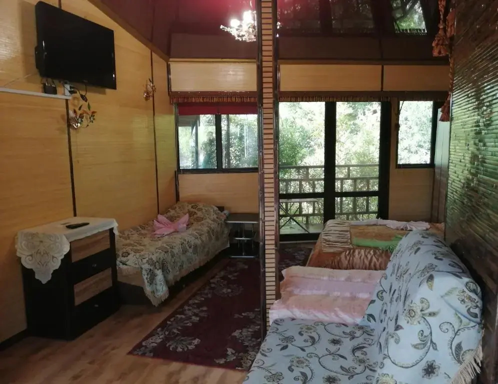Superior Apartment with balcony and with view