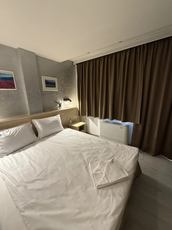 Aris Sofia Hotel - Général