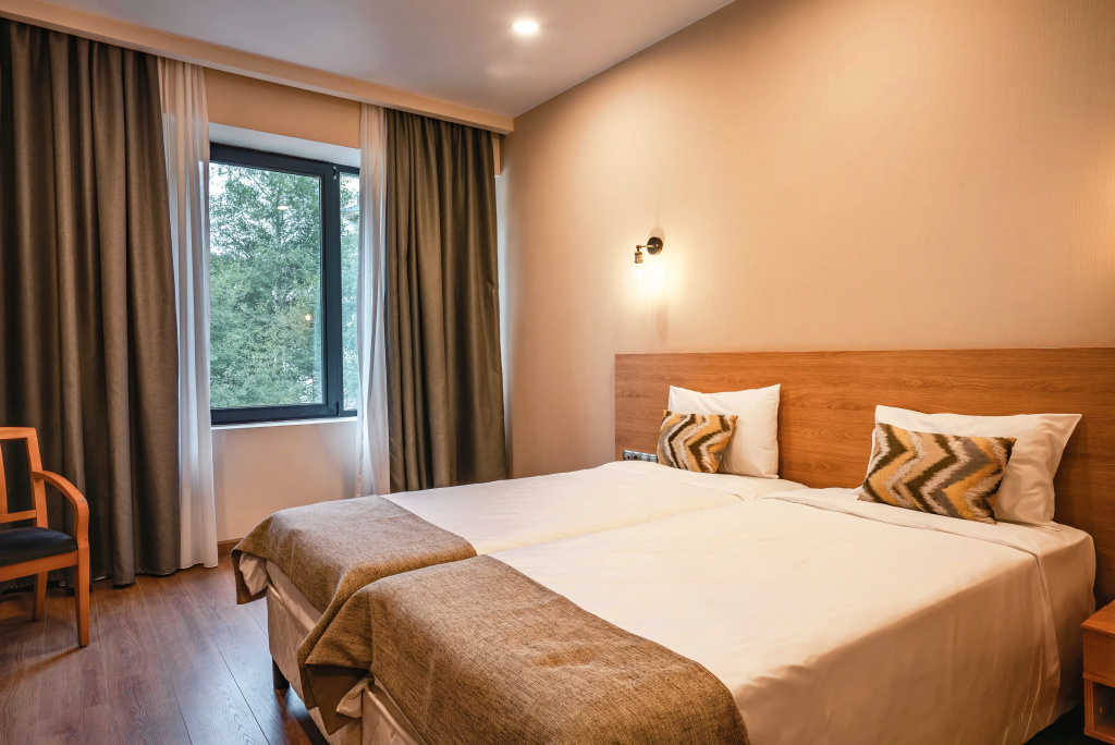 Hotel Bakuriani Inn Room Type - Disable Double room twin beds