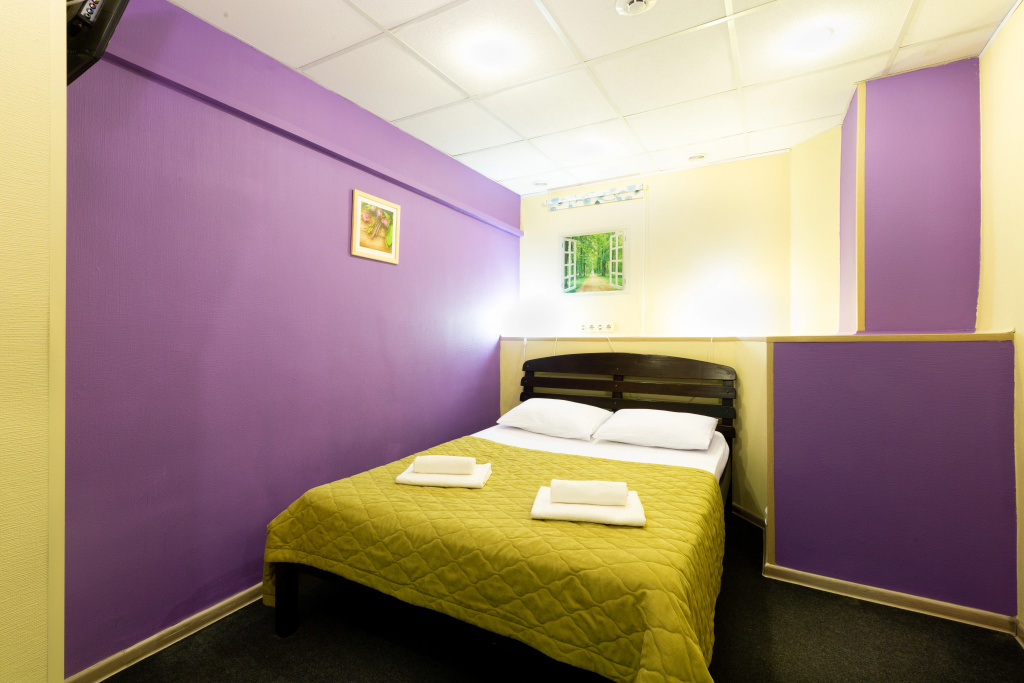 Izmailovsky Mini-Hotel Room Type - Economy Double room full double bed