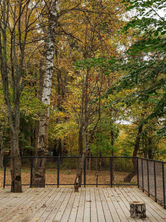 Кемпинг Берег Желаний - фото 34