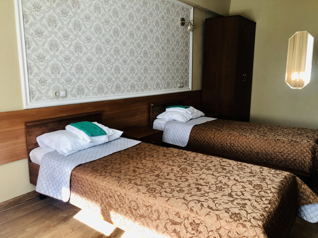 Standard Double room with city view (twin beds)