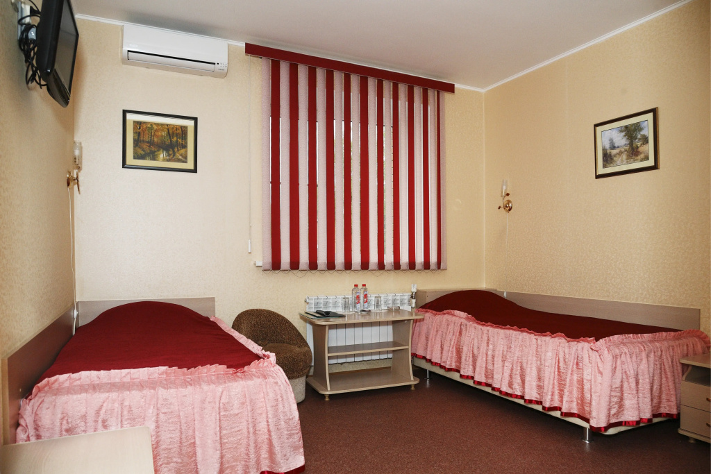 Standard Double room with city view (twin beds)