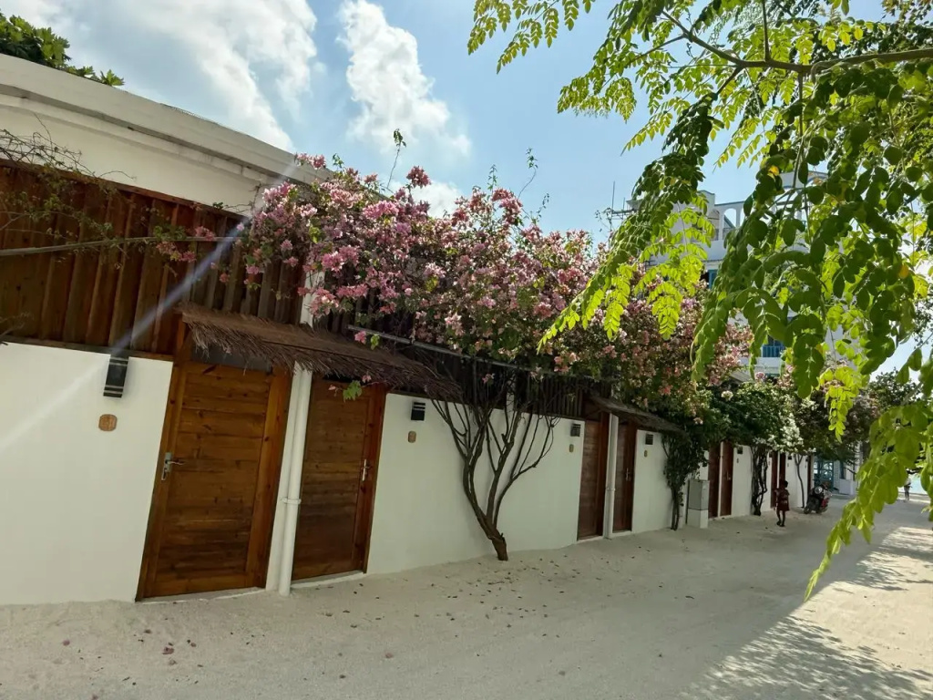 Island Serenity Guest house Dhiffushi — о. Діффуші, Мальдіви мініатюра 38