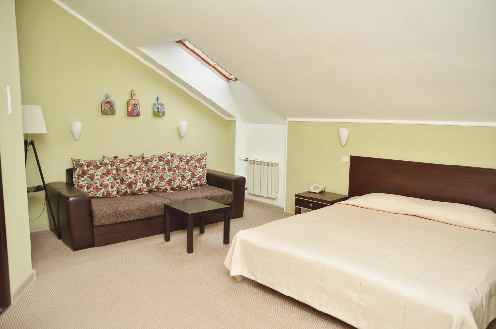 Palisad Hotel Room Type - Business Double Attic room full double bed