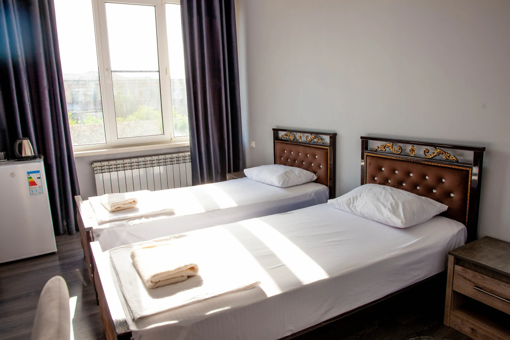 Standard Double room with courtyard view (twin beds)