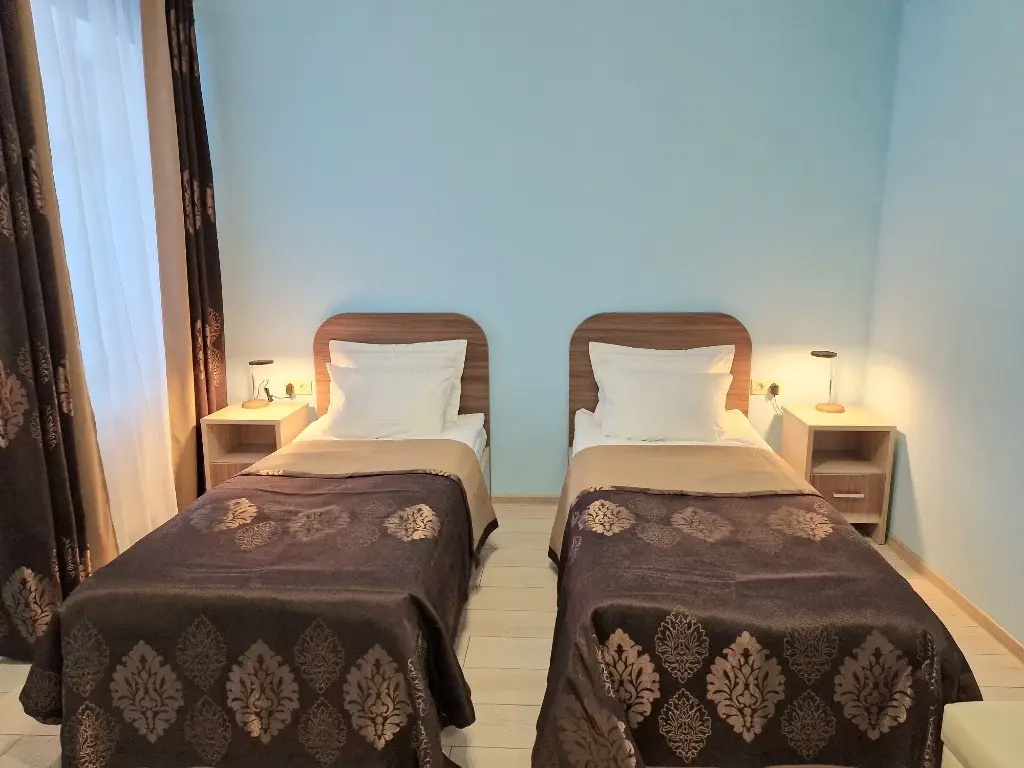 Pushkin Boutique Hotel Room Type - Comfort Double room twin beds