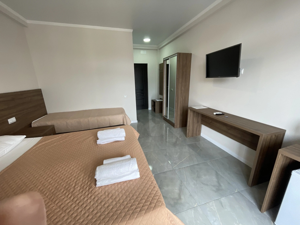 Standard Double room with balcony and with mountain view (full double bed)