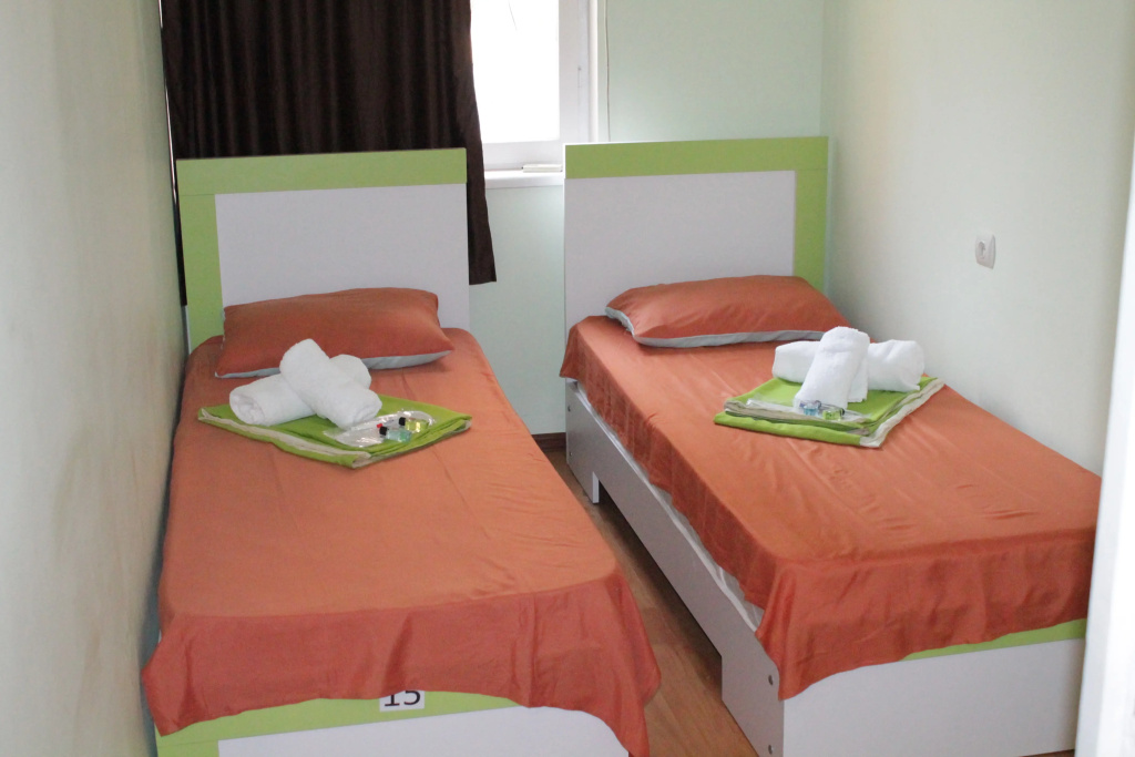 Standard Double room (twin beds)