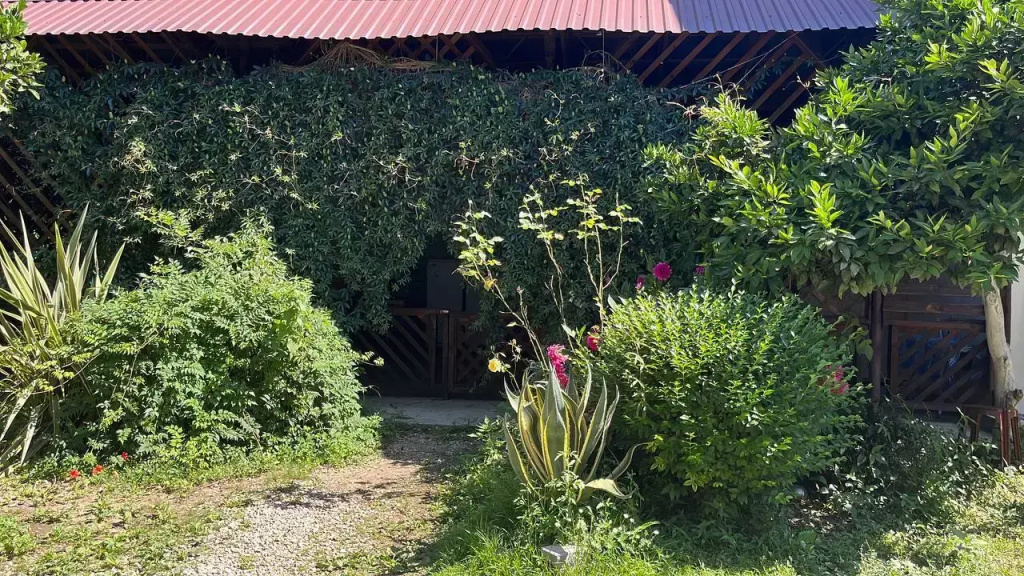 Karolina Guest house